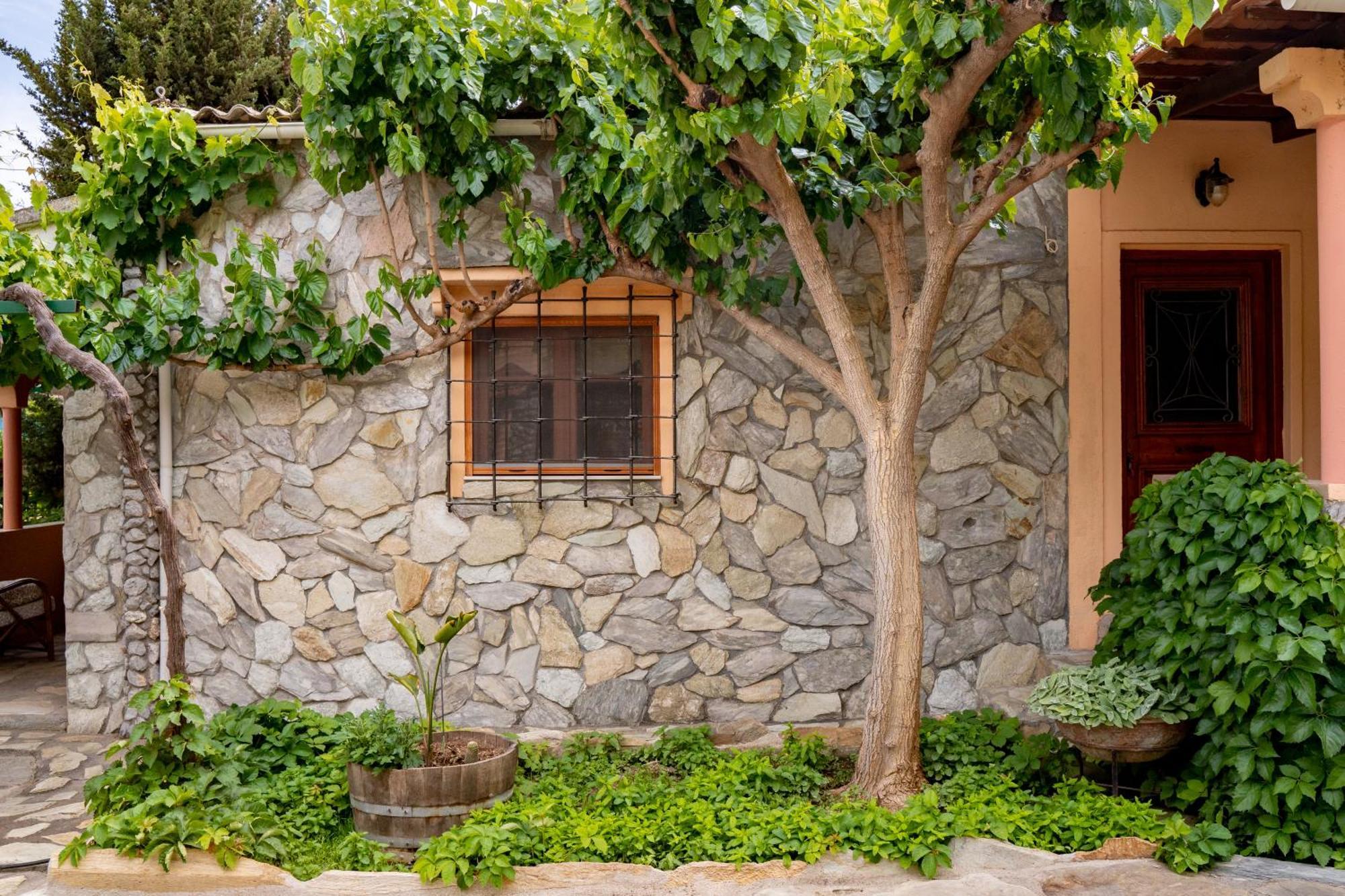 Dm Elegant And Charming Villa Foinikiá 外观 照片