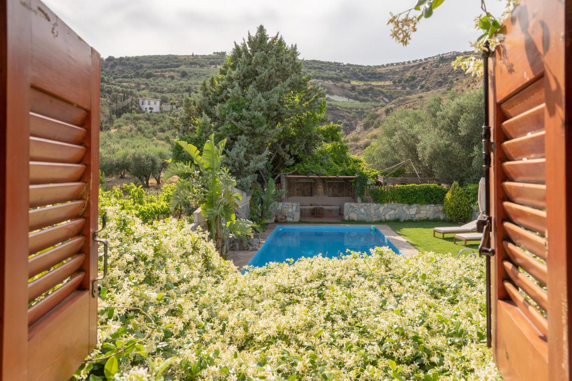 Dm Elegant And Charming Villa Foinikiá 外观 照片