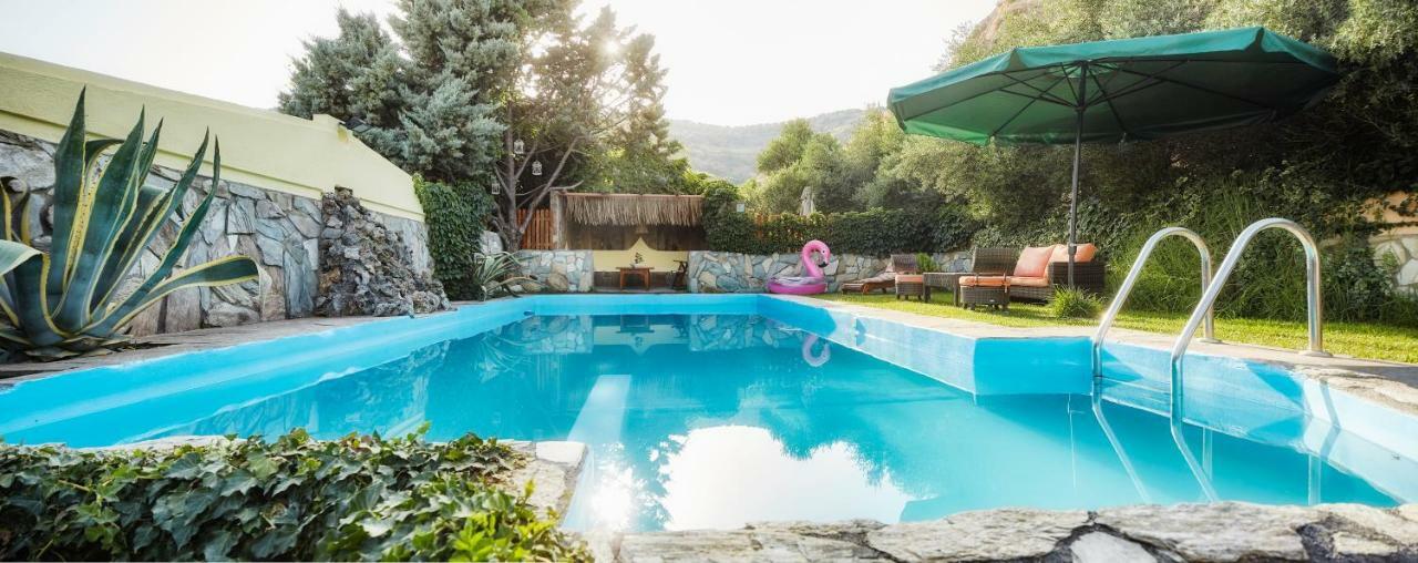 Dm Elegant And Charming Villa Foinikiá 外观 照片