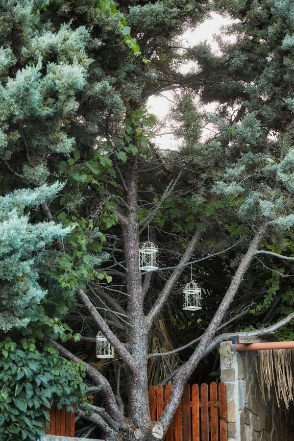 Dm Elegant And Charming Villa Foinikiá 外观 照片